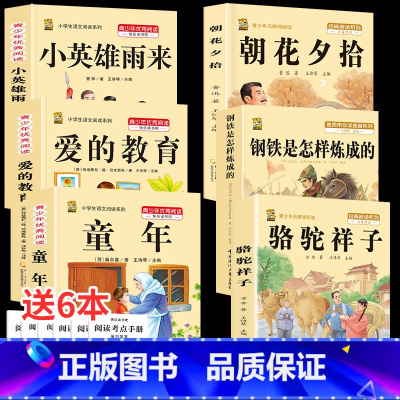 六上3本+骆驼+钢铁+朝花 [正版]童年高尔基爱的教育小英雄雨来六年级上册必读课外书快乐读书吧全套完整版原著老师同步作文