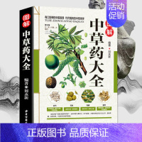 [正版]彩图中草药大全书 图解彩图 药方中药配方大全 中草药 处方医学类养生入门书籍 零基础学中医自学入门 基础理论