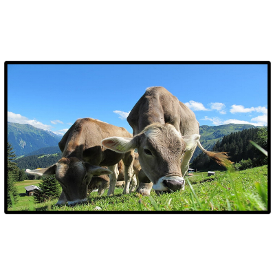 昌裕CY-CK-B6Y15.6安卓系统壁挂式触摸广告机