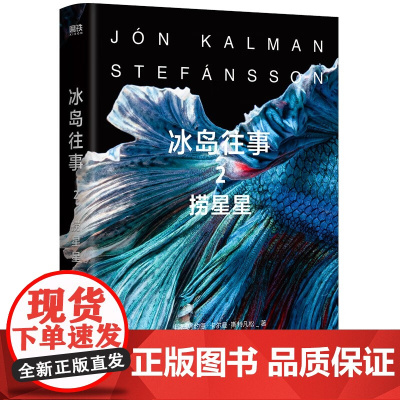 冰岛往事 2 捞星星 约恩·卡尔曼·斯特凡松 著 小说