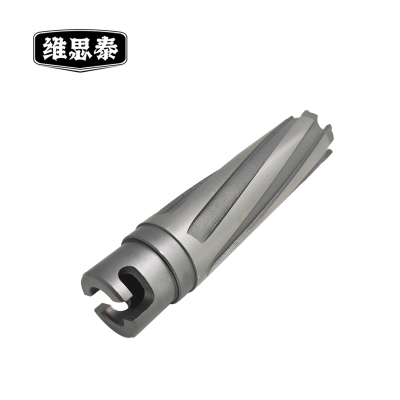 维思泰 尼龙套钻头 个
