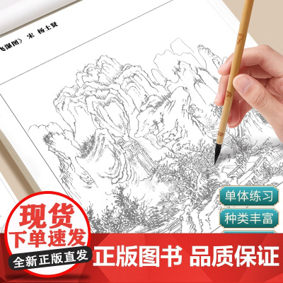 中国画白描入门描摹本国画工笔花卉人物美术套装画本工具描红书初学者画画临摹画册毛笔绘画练习教材