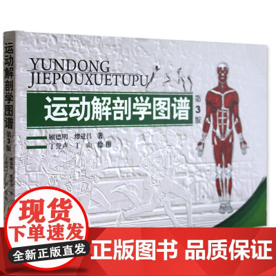 运动解剖学图谱修订第3版 肌肉塑造教程全书 人民体育健身书籍 健美训练图解 顾德明 医学实用性人体图谱 运动生理学