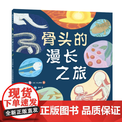 骨头的漫长之旅 松田素子 川上和生 进化 生物简史 大海 陆地 无脊椎 有脊椎 科普绘本 5岁以上
