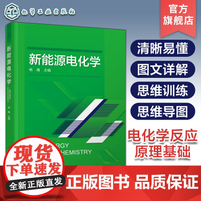 新能源电化学 各种新能源相关电化学反应原理和工程基础 各种化学电源器件发生电化学反应基本原理 新能源材料与器件等专业参考