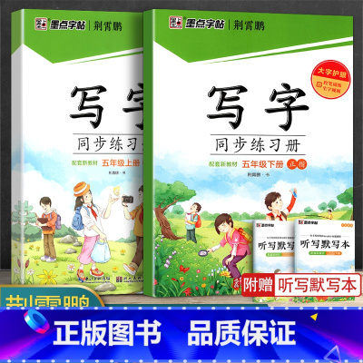 五年级(上册+下册) [正版]2024版字帖写字同步练习册一年级二年级三年级四年级五六七八九年级人教版上册下册笔顺语文生