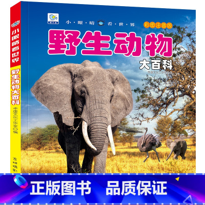 野生动物大百科 [正版]战车大百科注音版小眼睛看世界兵器武器枪械坦克装甲车导弹小学生一二三年级课外阅读书籍军事百科全书科