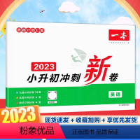 冲刺新卷-英语 小学升初中 [正版] 小升初冲刺新卷 英语 书籍 书店 湖南教育出版社