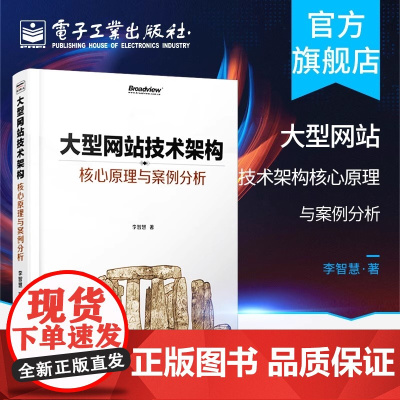 店 大型网站技术架构核心原理与案例分析 网站建设理论书籍 网站设计制作教程 计算机网站技术类书网站架构