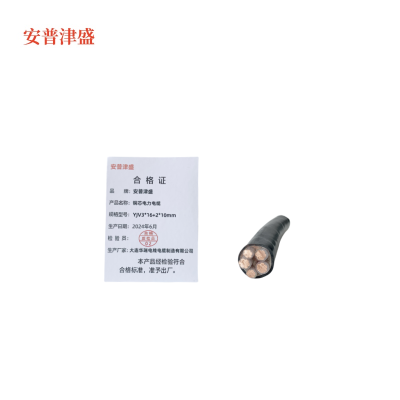 安普津盛 铜芯电力电缆YJV3*16+2*10mm 0.6/1kv米