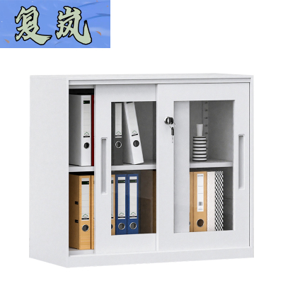 复岚 铁皮储物柜 FL16/台