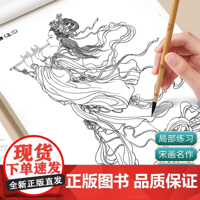 中国画白描入门描摹本国画工笔花卉人物美术套装画本工具描红书初学者画画临摹画册毛笔绘画练习教材
