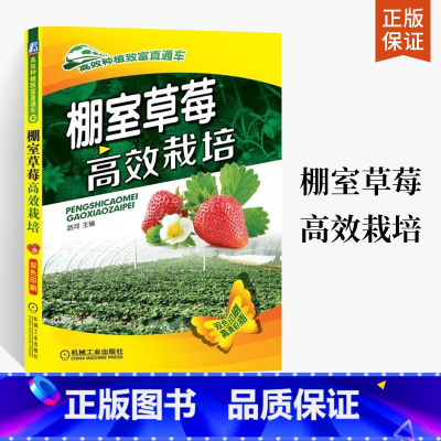 [正版]棚室草莓高效栽培 草莓种植书籍大全 草莓育苗技术 栽培管理 无土栽培模式参考书 常见病虫害及防治用书 草莓棚室