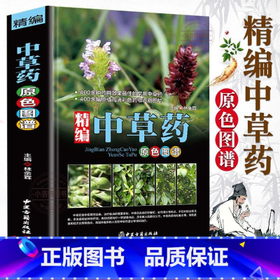 [高清原图]精编中药原色图谱 [正版] 精编中药原色图谱 中草药图鉴图谱中国药材图鉴 中医学书籍中药材大全 400余种常