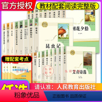 九年级上下册全套 [正版]七八九年级课外书儒林外史简爱海底两万里朝花夕拾西游记初中生文学名著原著完整版人民教育出版社上下