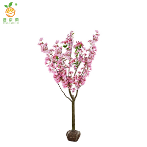 廷豪果 海棠树 绿植 5公分 /棵