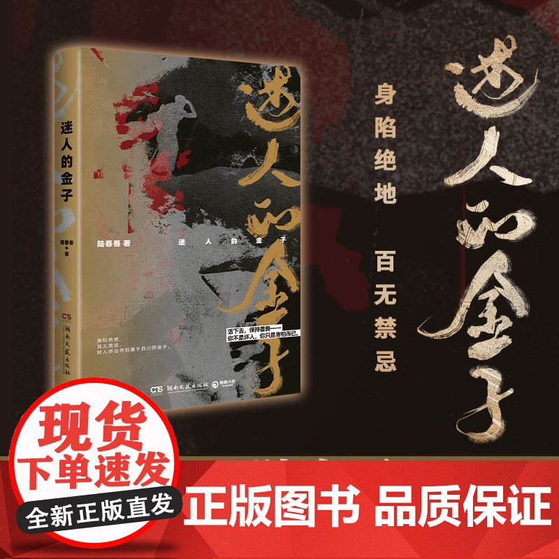 迷人的金子 豆瓣阅读人气悬疑作家陆春吾继《一生悬命》之后高口碑之作 现代文学悬疑惊悚推理犯罪小说正版书籍