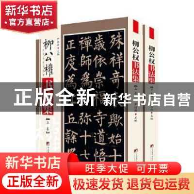 正版 柳公权书法集(上下)/传世名家书画集 尹维新 中央编译出版社