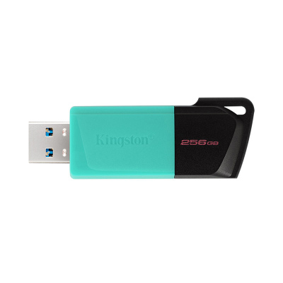 金士顿(Kingston) u盘 USB3.0 DTXM 投标车载高速优盘 车载优盘高速U盘 256G