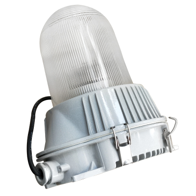 虎光风行 LED 防爆工作灯 FL-BTC6155-G1 照明功率50W 银白色