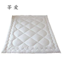 莘爱 褥子120×200cm 条