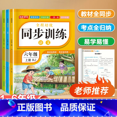 语文+数学+英语+作文 三年级上 [正版]新版小学同步训练一二年级上册练习册三年级语文数学英语全套人教版四五六年级小学生