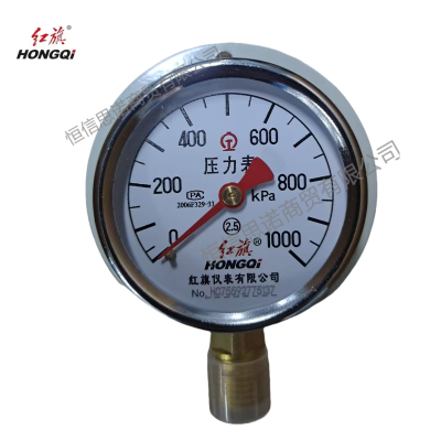 红旗 径向带边压力表检测款YT-60 1000KPA 块