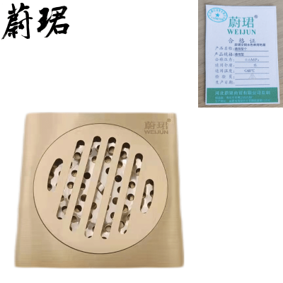 蔚珺全铜本色单用地漏通用型个