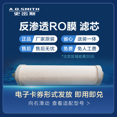 史密斯(A.O.SMITH)600G膜 适用于R1600XP2/R1600XP5/R1600XP7/R1600BG1等