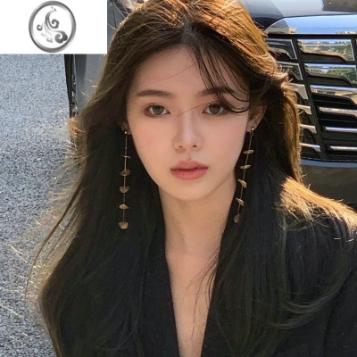 JiMi摩卡学院 小众设计高级感轻奢耳钉网红耳环女潮长款流苏金属耳坠