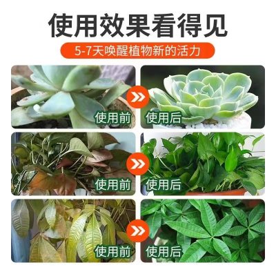 [补贴10%]免稀释营养液植物通用型肥料室内盆栽发财树绿萝养花喷洒发黄烂根