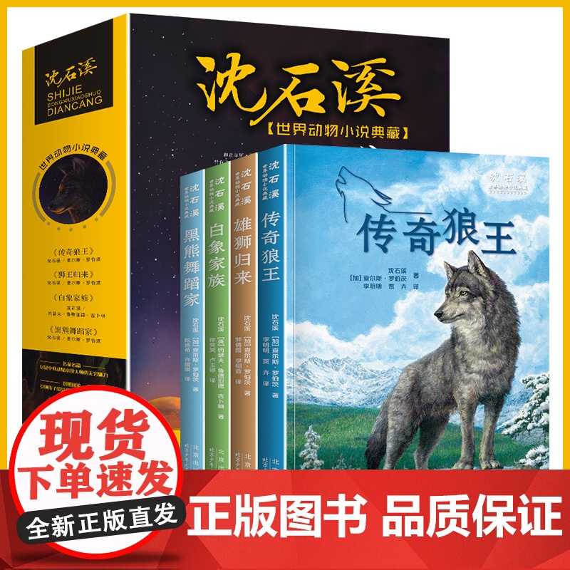 沈石溪动物小说全套4册 传奇狼王梦黑熊舞蹈家白象家族7-8-10-12-15岁儿童文学三四五六年级中小学生课外阅读书籍