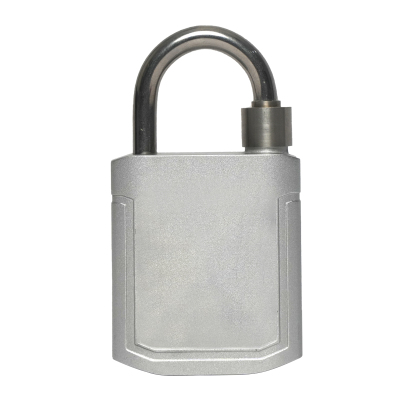 Makeid GT-GS002 挂锁 99*54*26mm 锌合金 1 把 银