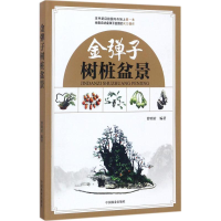 音像金弹子树桩盆景曹明君 编著