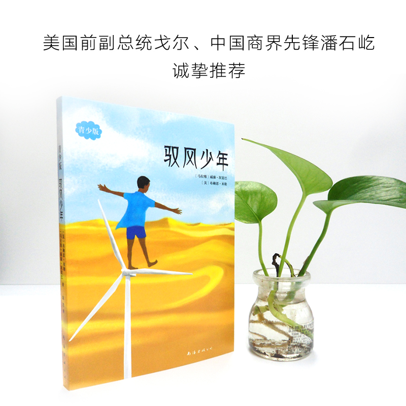 音像驭风少年:青少版