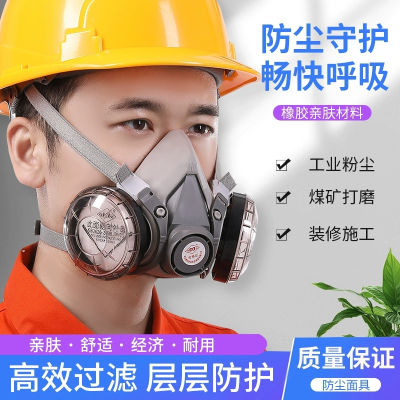 梅安6200双滤式防毒口罩喷漆甲醛工业化工气体异味工业防尘半面罩