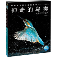 音像的鸟类赵序茅