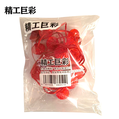 精工巨彩 灯笼串灯彩灯 DL-01 条