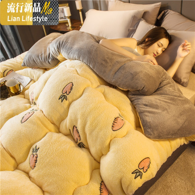 雪花绒毛毯被子冬季加厚午睡毯子单人学生宿舍珊瑚绒床单法兰绒 三维工匠
