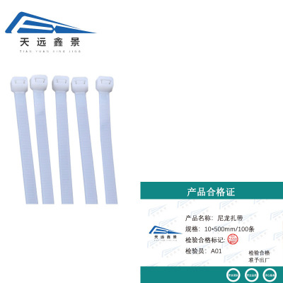 天远鑫景尼龙扎带 10*500mm/100条 袋