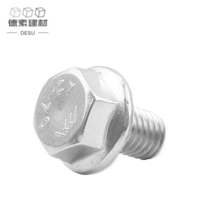 德素 不锈钢A级法兰面六角螺栓 M6*16 个