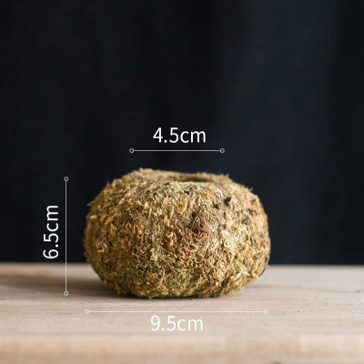 美帮汇干苔藓包球 花器花盆植物培育基质 装饰摆件花艺搭配 天然苔藓花器中号 大