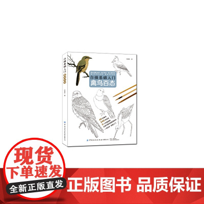 白描基础入门:禽鸟百态