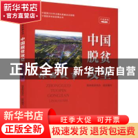正版 中国脱贫攻坚 林西故事 国务院扶贫办 研究出版社 9787519