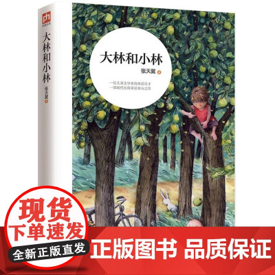 大林和小林张天翼 著 著WX