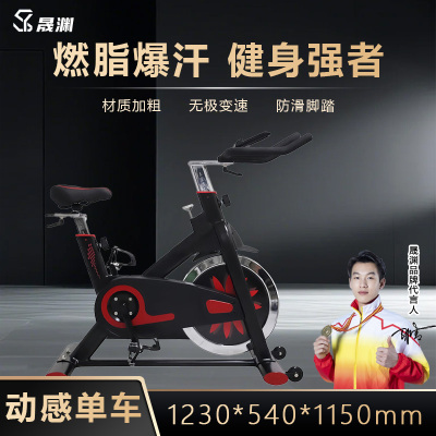 晟渊 动感单车家用健身车健身单车健身运动器材 YP0222
