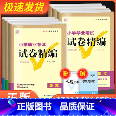 [共2本]语文+数学 通用版 小学升初中 [正版]通城学典小学毕业考试试卷精编小升初系统总复习卷子语文数学英语真题模拟试