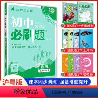 物理[沪粤版] 九年级下 [正版]2024新版 初中必刷题九年级下册物理沪粤版 中考必刷题9年级物理同步练习册试卷题库