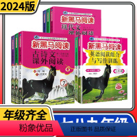 英语阅读组合与写作训练 八年级/初中二年级 [正版]2024新黑马阅读初中七八九年级古诗文现代文课外阅读英语阅读组合与写
