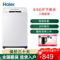 海尔 (Haier )波轮洗衣机6.5公斤容量全自动家用波轮洗衣机小型洗衣机EB65M019